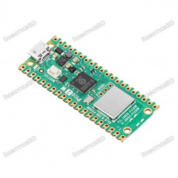 Raspberry Pi Pico 2W Robotics Bangladesh