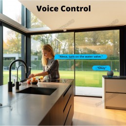 SONOFF Zigbee Smart Water Valve SWV-BSP Intelligent Irrigation Made Simple Robotics Bangladesh