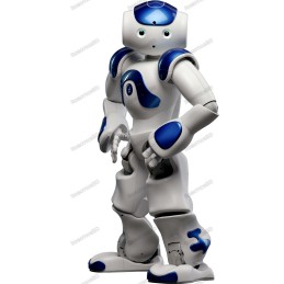 NAO V5 STANDARD EDITION Robotics Bangladesh