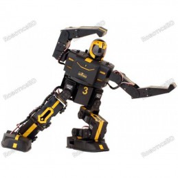 RoboBrothers RoboPhilo Humanoid Robot Ready to Walk Robotics Bangladesh
