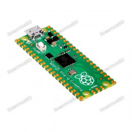 Raspberry Pi Pico Robotics Bangladesh