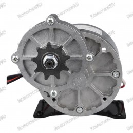 Brushed DC Motor 12V 250W Gear Reduction Motor for E-bike Wheelchair Robot
