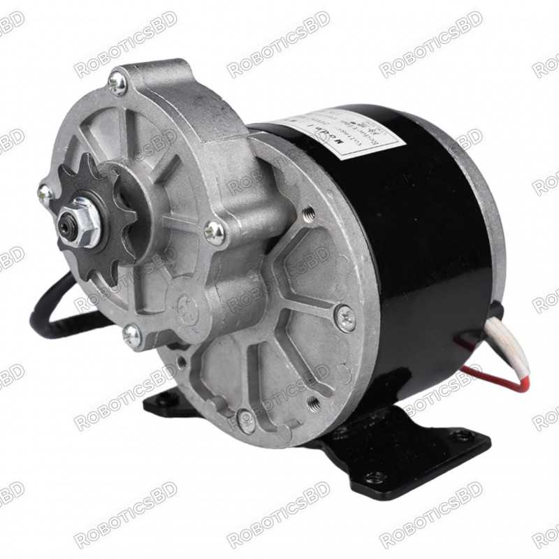Brushed DC Motor 12V 250W Gear Reduction Motor for E-bike Wheelchair Robot