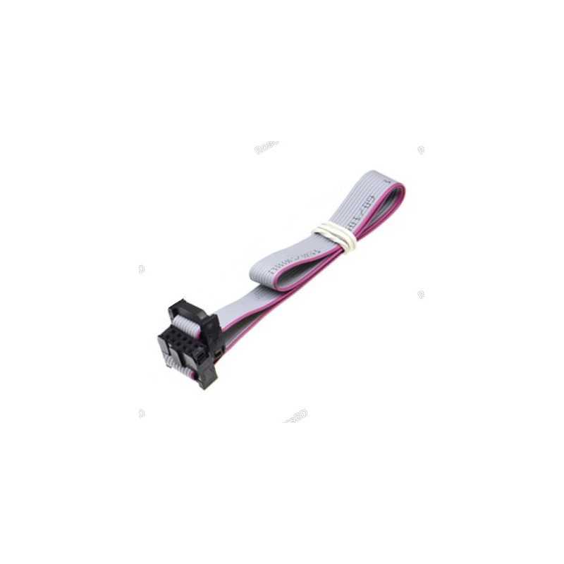 Flat Ribbon 2.54MM Pitch FC-10 JTAG ISP AVR Data Cable 20cm 10 Pin Robotics Bangladesh