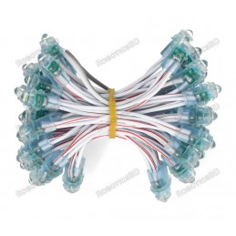 12V Pixel chain - 25x LED 5mm Blue Robotics Bangladesh