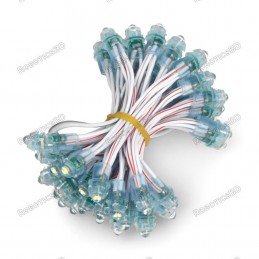 12V Pixel chain - 25x LED 5mm Blue Robotics Bangladesh